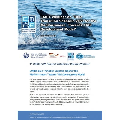EMEA, EMNES, UfM & GIZ webinar: “The Blue Transition Scenario 2050 for the Mediterranean" - 8 July 2020